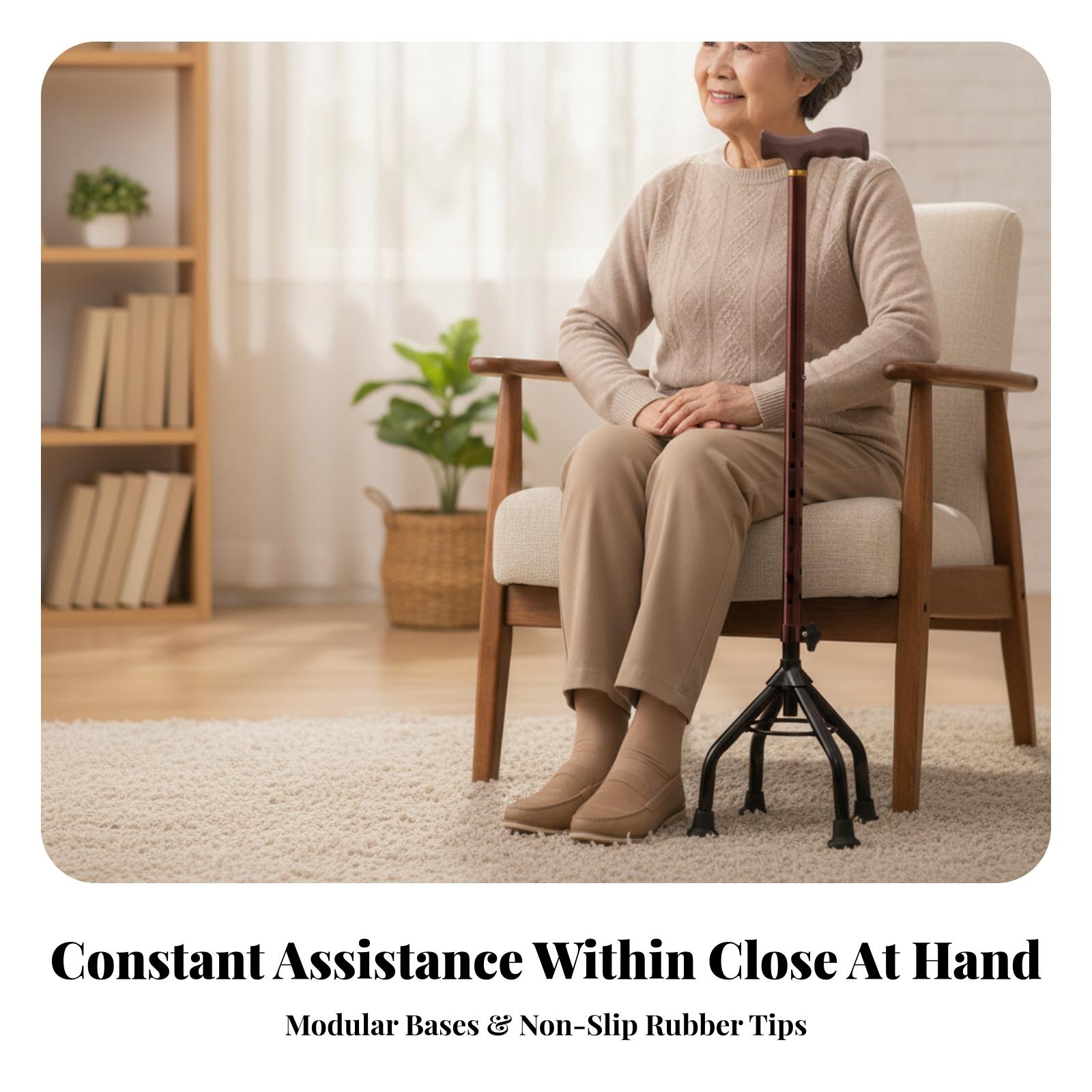 Ergonomic Adjustable Walking S - Gripper Foot Walking 评论和价格